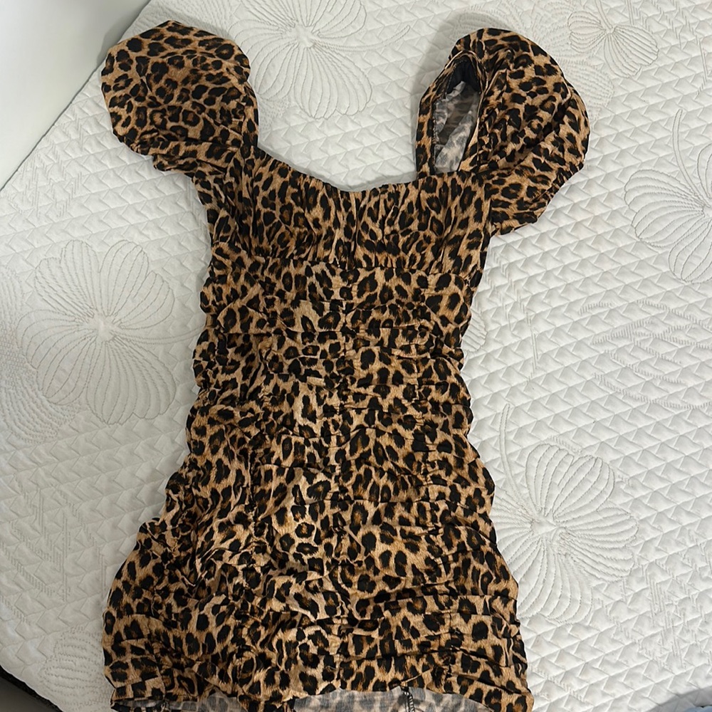 zara cheetah dress